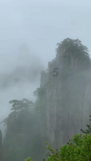 推进美丽山东建设,打造绿色低碳发展高地