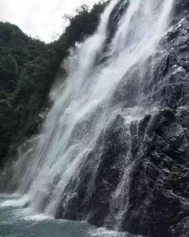 白色森林逃脱